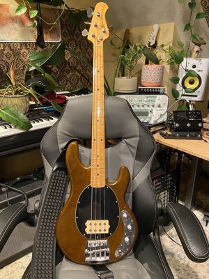 1977 Music Man Stingray (pre-Ernie Ball Vintage)