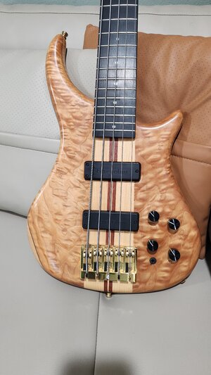 Pedulla Thunderbass ET5 - Quilted Maple