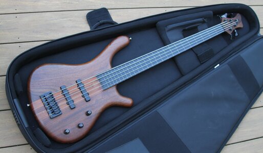 Mayones BE-5 Fretless 5-string