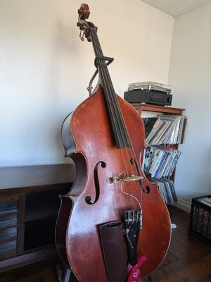 Kolstein Fendt Model Double Bass, 3/4 Size, 2012