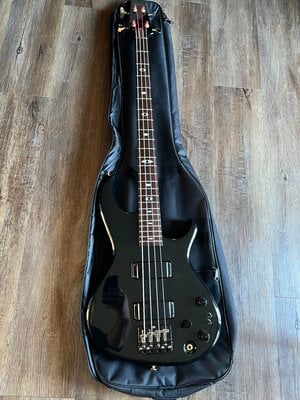 Aria Pro II Elite 2 Black n Gold Cliff Burton