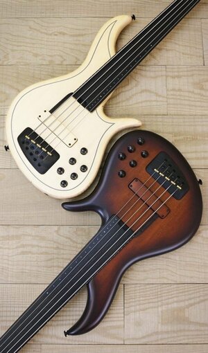 F Bass AC5 Alain Caron 5 Signature