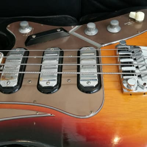 WTB: dynacord texas bass/welson super bass