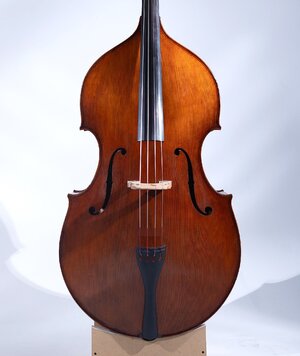 VSA Certificate of Merit lion head bass