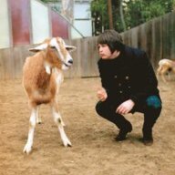 Pet Sounds