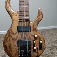 SolaiBassist