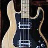 Peavey_T40