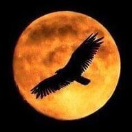 EagleMoon