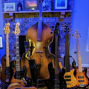 Bass Guitars