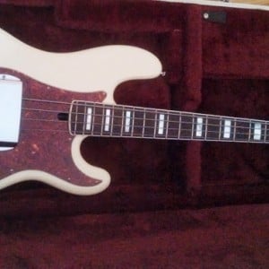 US Lakland Duck Dunn