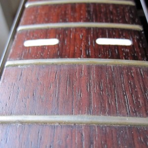 Dunlop Lemon Oil on Rosewood Fretboard