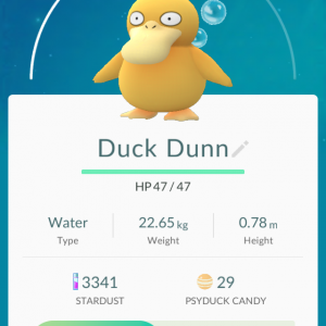 Duck Dunn