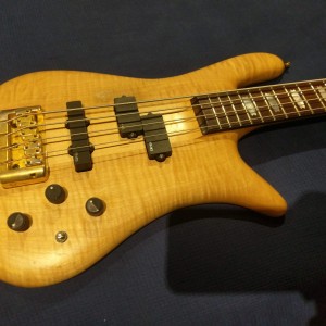 Spector Euro