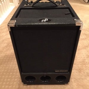 Phil Jones BG 300 Super Flightcase