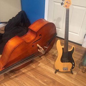 fretless precision and upright