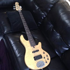 Lakland skyline 55-02