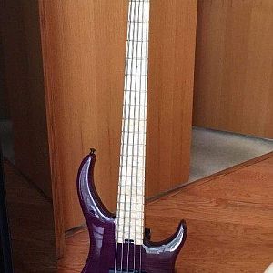 Peavey Millennium 5+