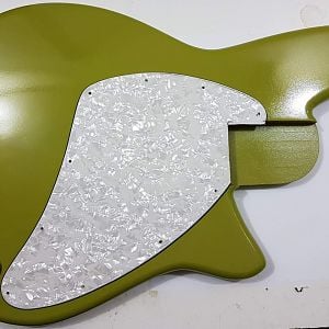 pickguard