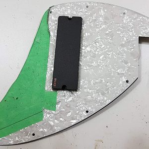 pickguard