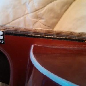 bholder's old Epi archtop