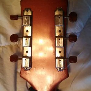 bholder's old Epi archtop