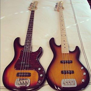 My G&L Basses