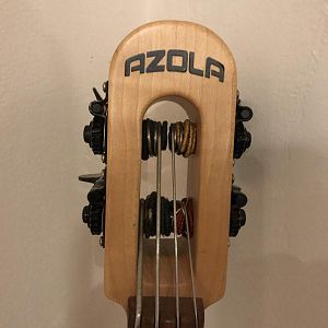 head stock of azola bug