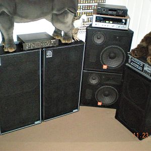 Ampeg, JBL, Peavey