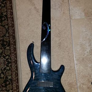 Project Fretless