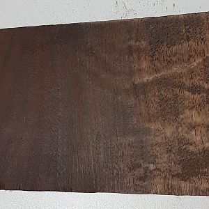 walnut sample with walnut stain