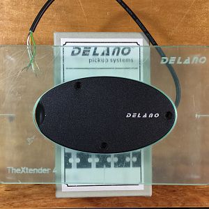 Delanotemplatefit2