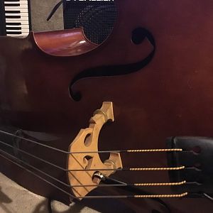 Evah Pirazzi “Slap” Double Bass Strings