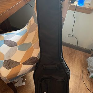 Mustang pj gig bag