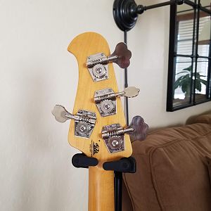 EBMM Cutlass back of headstock