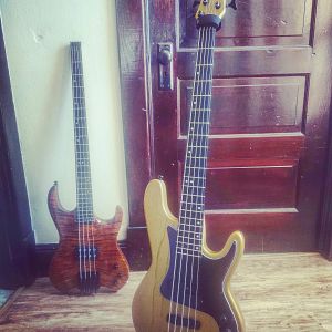 Kiesel Basses