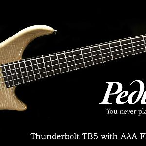 Pedulla Thunderbolt 5