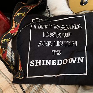 Shinedown