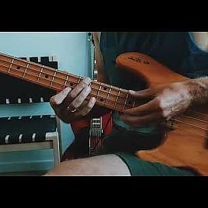 Sting - Fields of Gold solo bass