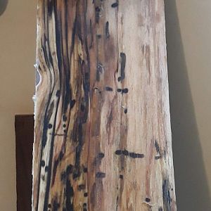 driftwood headstock veneer