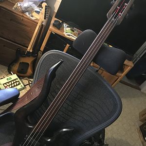 Wishbass with Hipshot Tremolo: Malificent