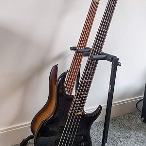 Ibanez SR655E & Dingwall Z1 Voodoo