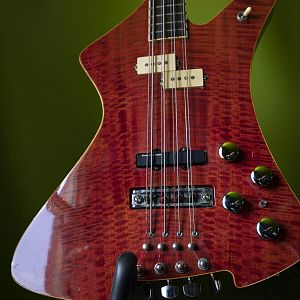 Washburn 8 String Bass