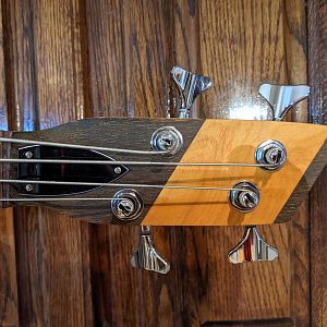 Harlequin Headstock