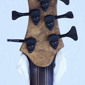 Roscoe Century Signature Rear Headstock Overlay