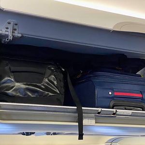 Traveler Guitar, 4-String Ultra-Light Bass on Airplane