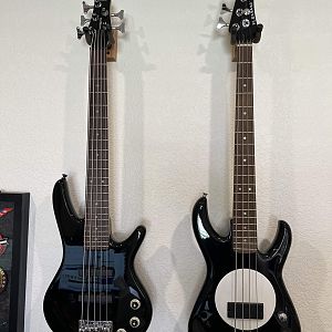 Ibanez miKro GSRM25 and Fleabass Short Scale