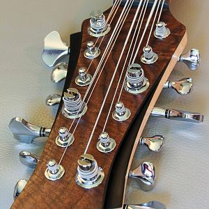 12 String Neck Through Bass Build