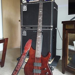 PRS Kingfisher With new EMG Pickups