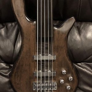 Warwick GPS Streamer Stage I 5 Fretless