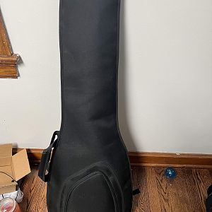 Strat gig bag